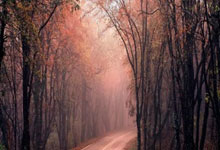 马德里竞技面对挑战，展现强大实力