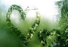 射箭女子个人射箭巴西选手夺金