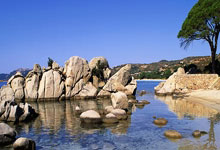 神秘力量现身，球场上开启一场场惊心动魄的较量